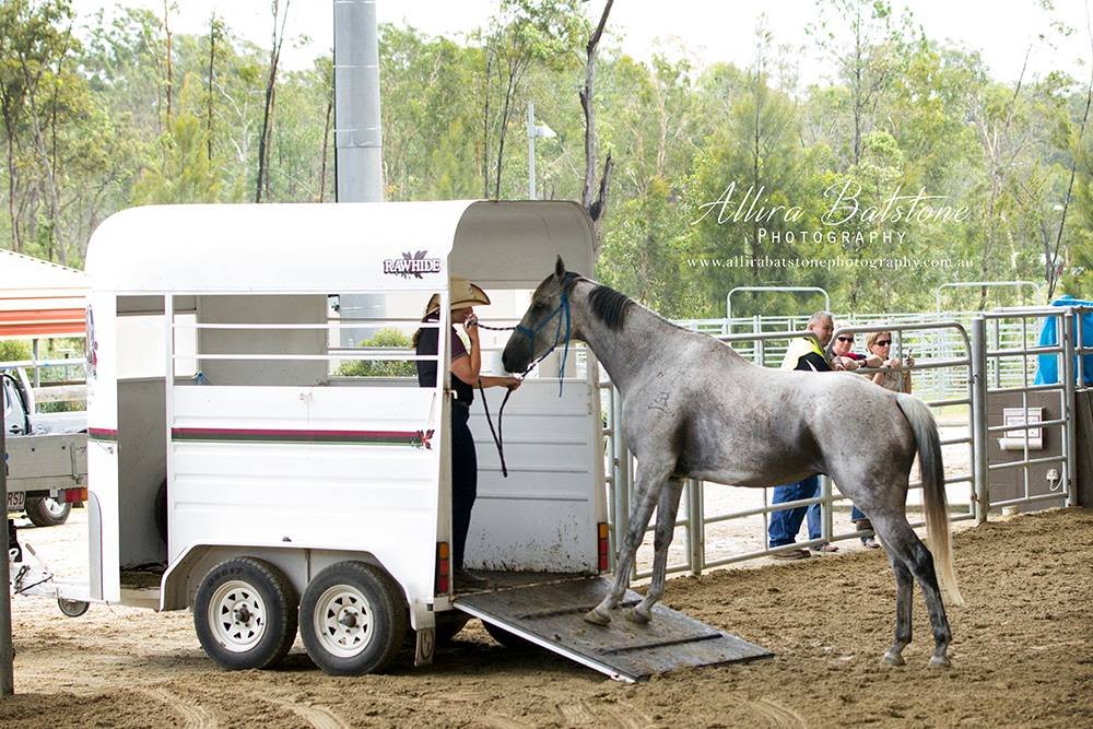 how to choose the right horse float in Australia