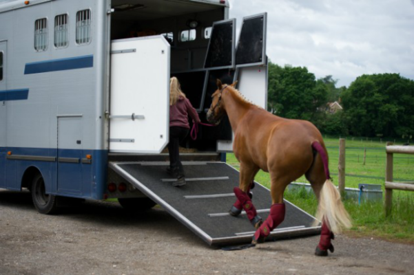 horse float safety tips Australia